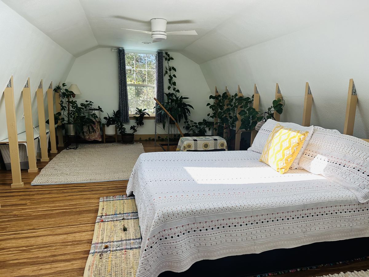 A bright bedroom with a white quilt and houseplants