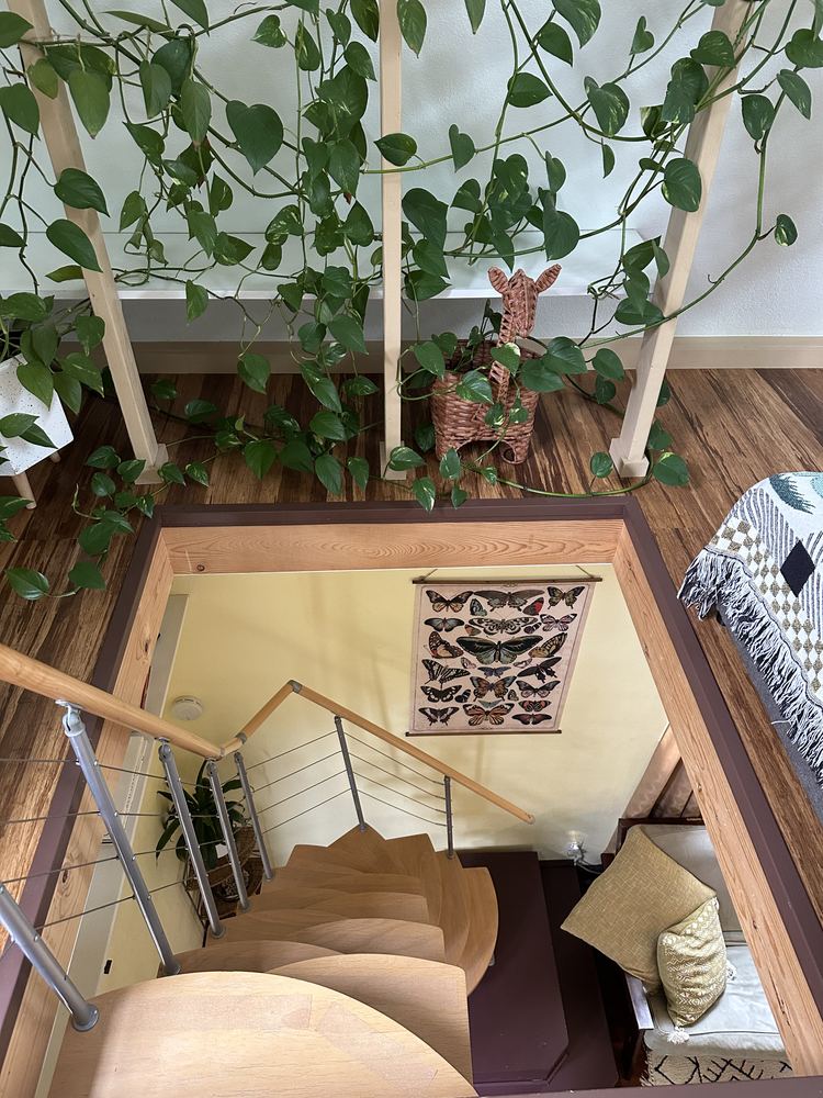 Looking down from the loft with trailing plants